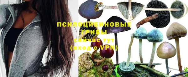 метадон Покачи