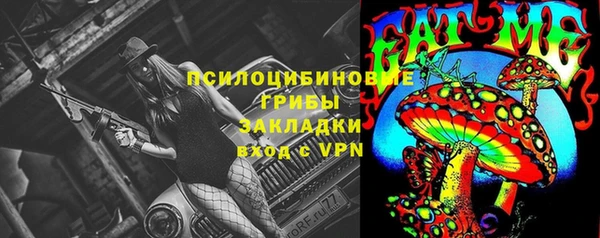 крисы Покровск