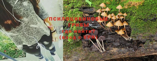 бошки Покров