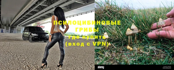 метадон Покачи