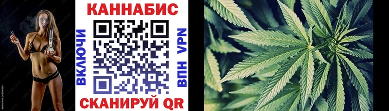 Бошки марихуана план  нарко площадка телеграм  Сунжа  где купить наркоту 